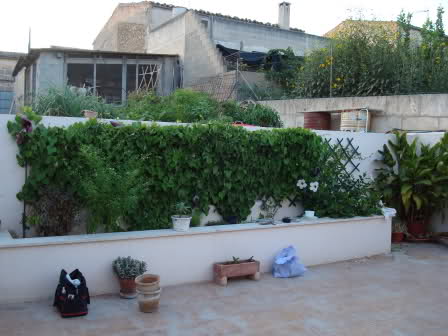 f3c85e.jpg