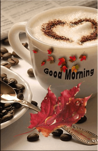 f56b1cfa95442d082bb215ce9f651ce8.gif