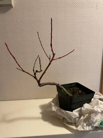 f5774a10.jpg