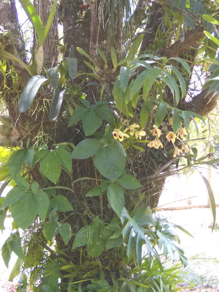 f59641.jpg