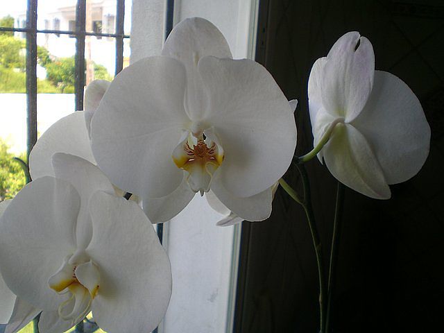 f5e4c8a2.jpg