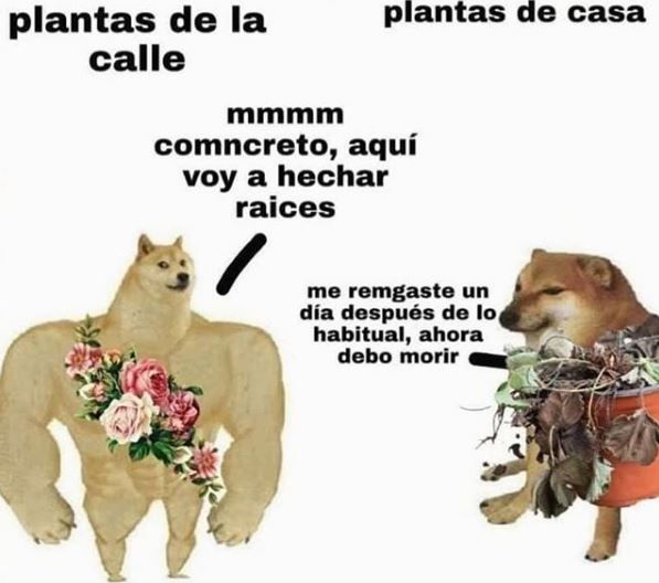 f698060f10304612906923c8ce83fe09.jpg