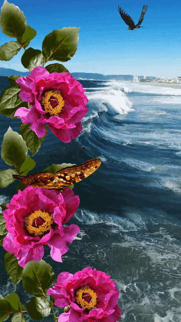 f6a409226e221f595a9fbb539bb59006.gif