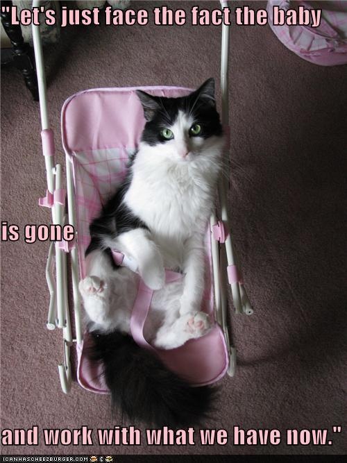 f76656cc8ff9313bf2780086ade66efb--empty-nest-syndrome-hilarious-animals.jpg