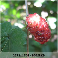 f87681b758faf01b4da541b1b0a83e6ao.jpg