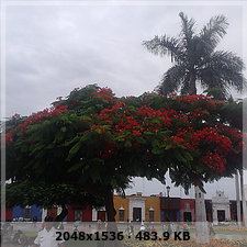 f8b5a7e79ea636c189aa11404f9db086o.jpg