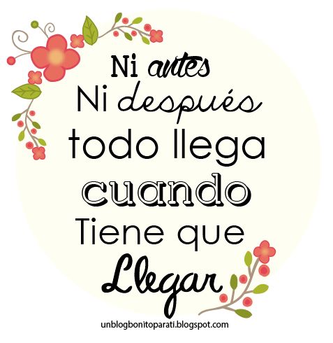 f8f29662f0ed24f3b7af5ec443cb0232--blog-sali.jpg