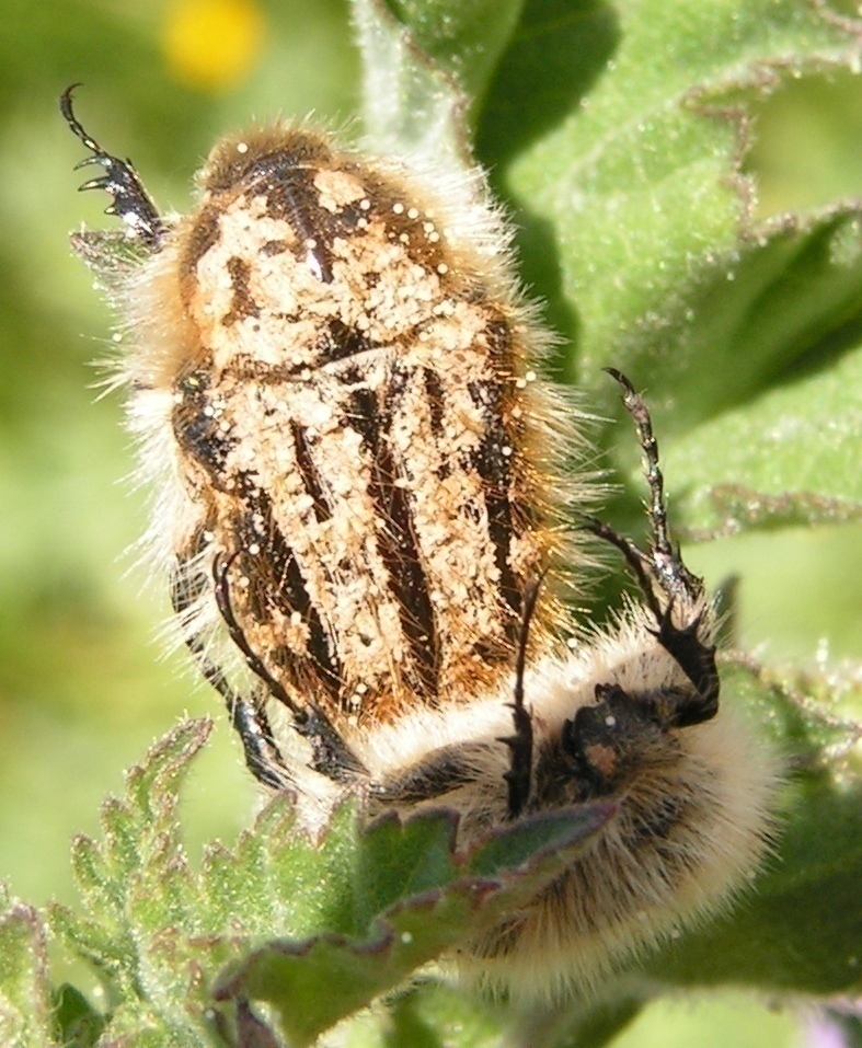 f_15IV20078am_3d0c709.jpg