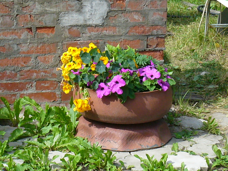 f_16804910.jpg