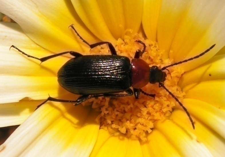 f_6V200720m_3a0f323.jpg