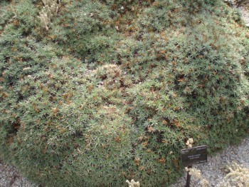 f_Abromeitielm_376f7b3.jpg