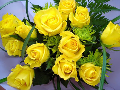f_best20yellom_4f0b0e5.jpg