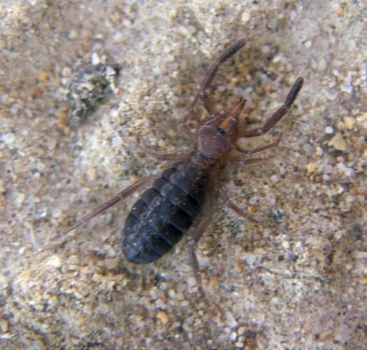f_Gluviadorsam_7e67b7c.jpg