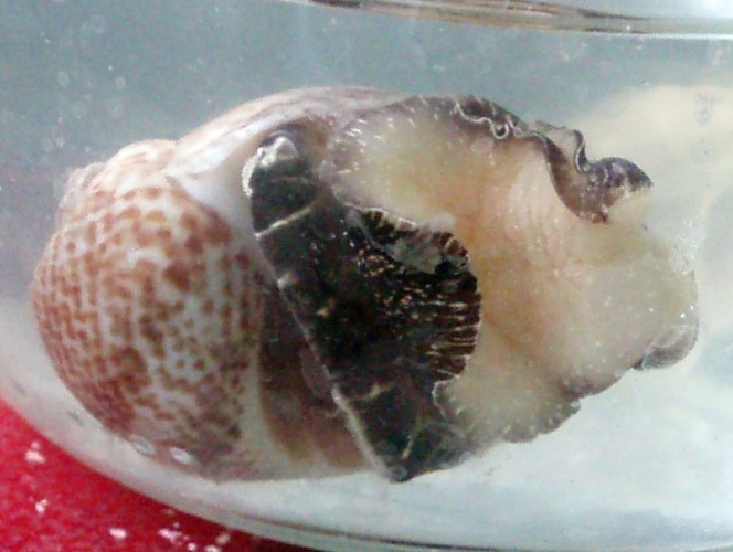 f_P1010224m_fe622f8.jpg