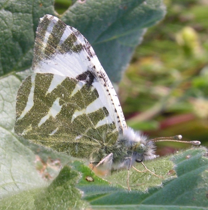 f_PICT0020m_6a6e6c8.jpg