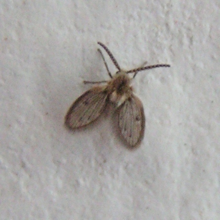 f_PICT0020m_6ca070d.jpg