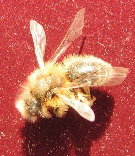 f_PICT0021bbbm_2db34fe.jpg