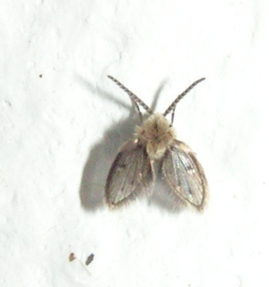 f_PICT0022m_55a660c.jpg
