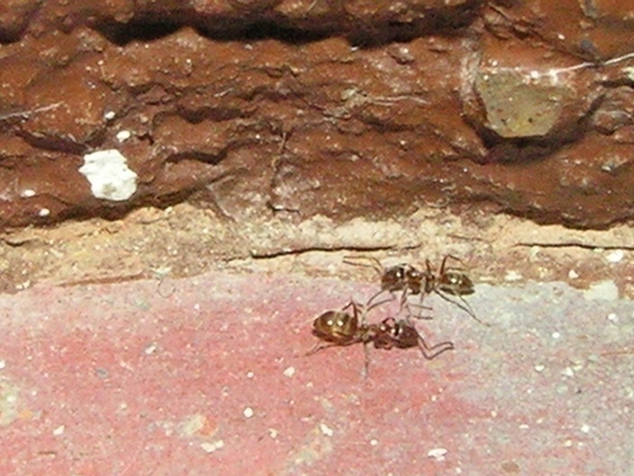 f_PICT0039m_1866800.jpg