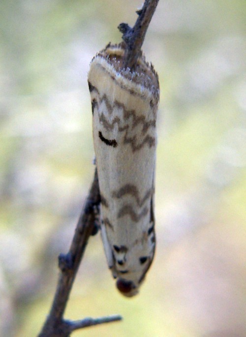 f_PICT1101m_eaa1f81.jpg