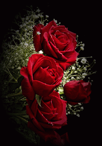 fa1e9a1acaa93ee843afa5cc9d538c19.gif
