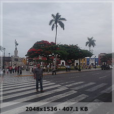 fa5d52631a6ebe6d57541b077f838328o.jpg