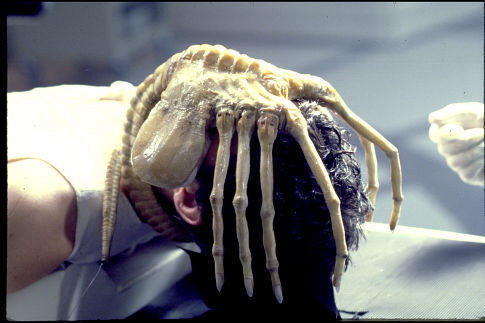 FacehuggerAlien1979.jpg