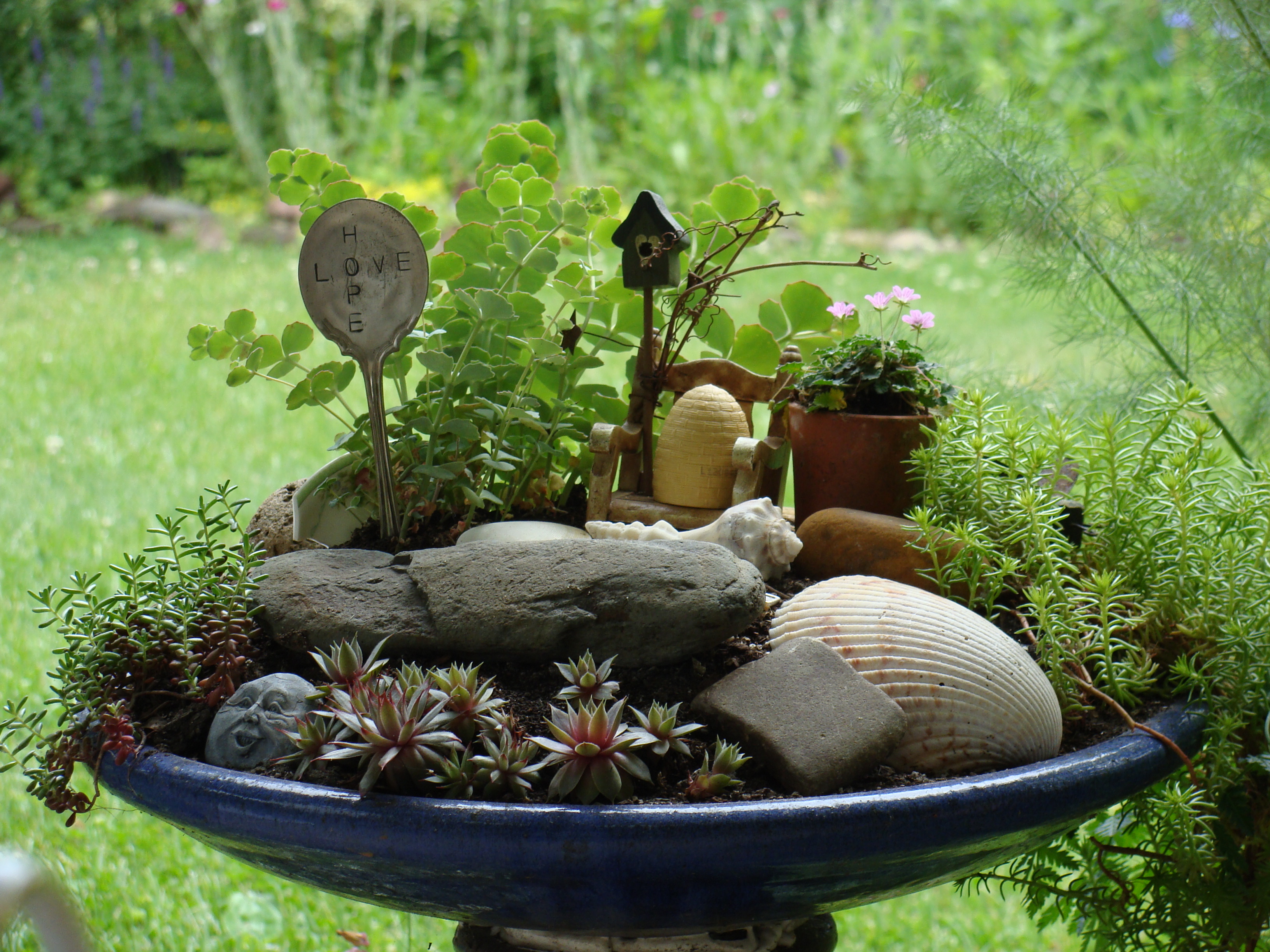 fairy-garden-1-1.jpg