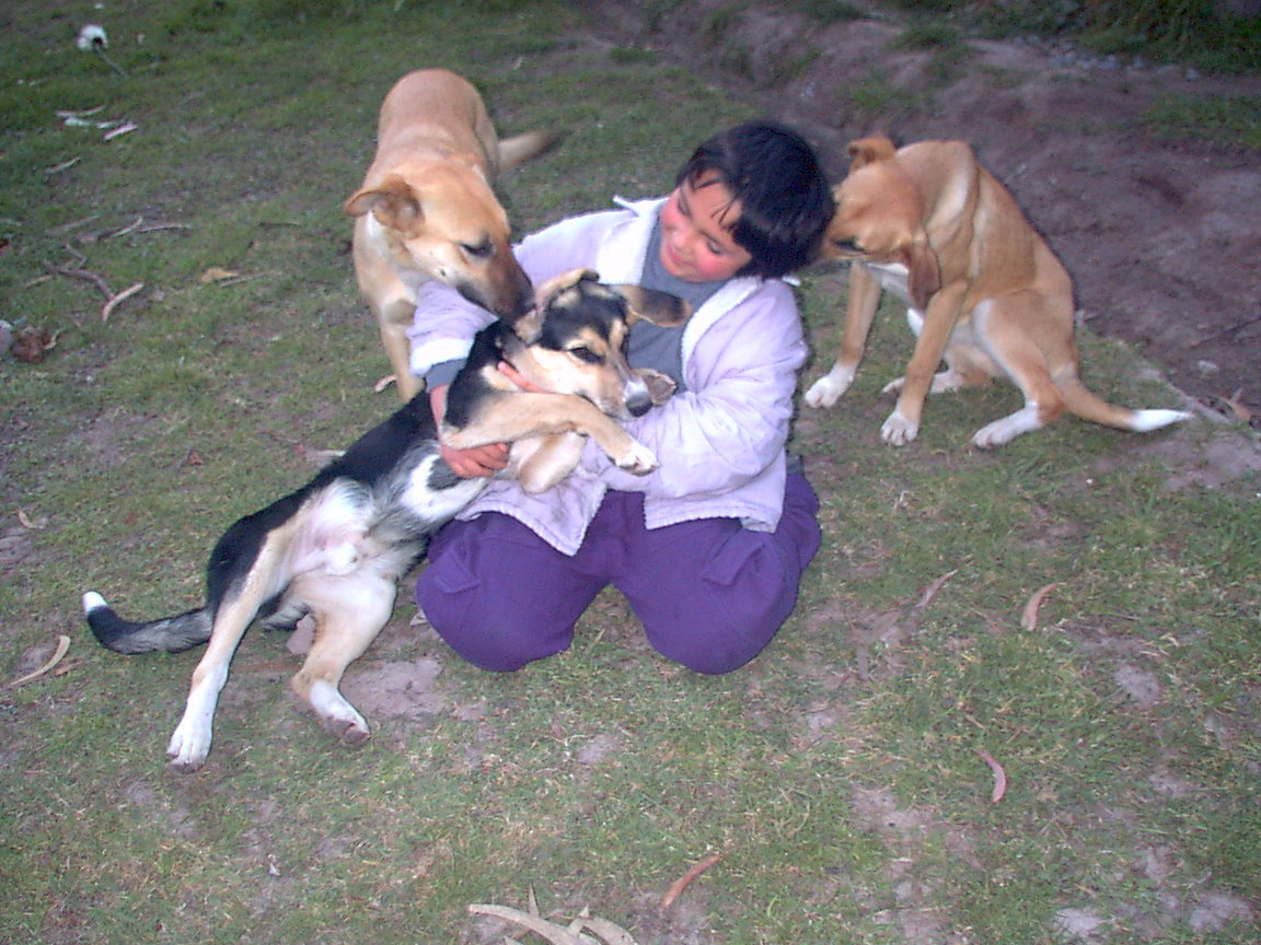 Familia%20perros%20cari%F1osa.jpg