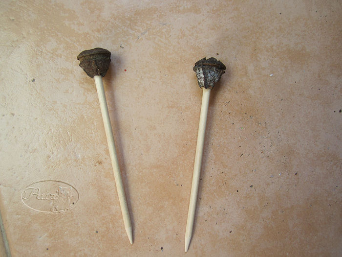 farolitos+de+bolitas+de+eucalitos+%25282%2529.JPG