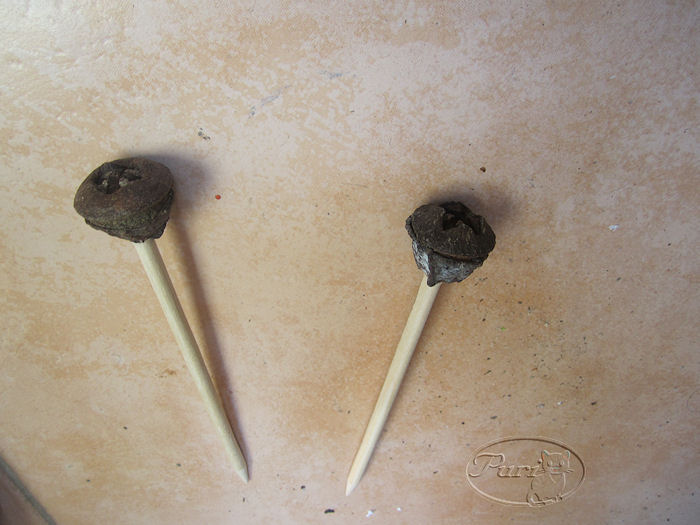 farolitos+de+bolitas+de+eucalitos.JPG
