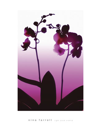 farrell-nina-light-plum-orchid-9916945.jpg