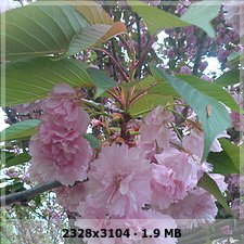 fb70b094ec4e814651112a45afca8894o.jpg