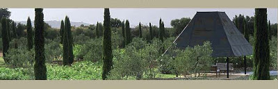 FC-poplars.jpg