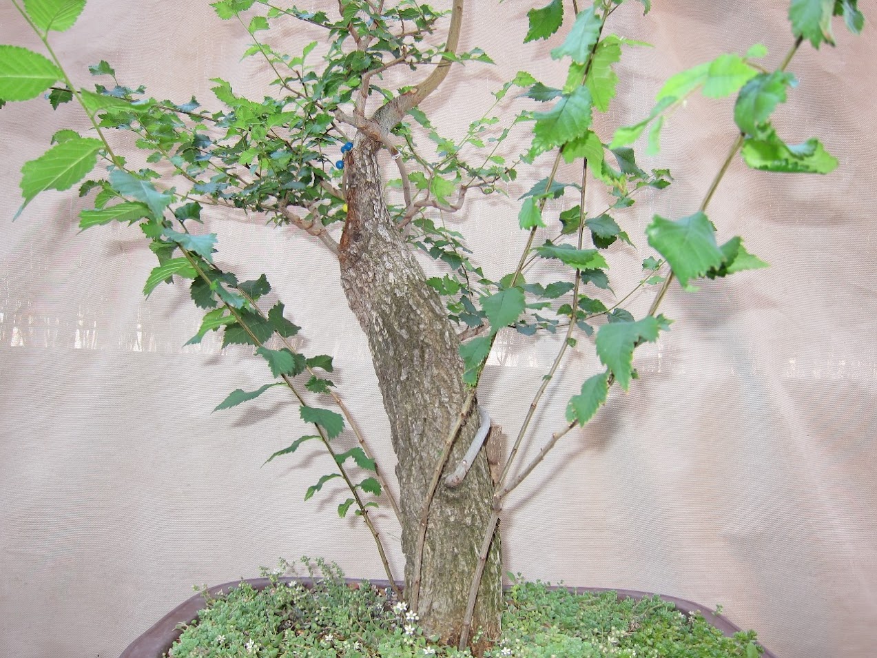 fDQJp6jf5hXnTDT4JPX744T3Tvkp-cC5DCQ4IV6CLrn6=w1274-h955-no.jpg