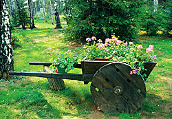 fe79931cc16c.jpg