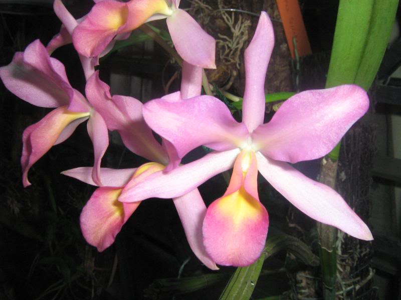 febrero-08013.jpg