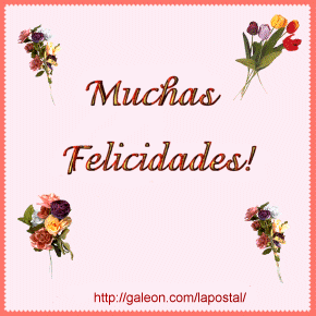 felic82.gif