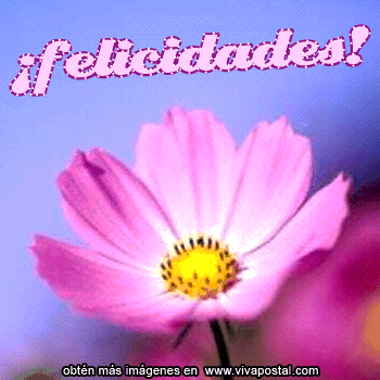 felicidades_gl_9.gif