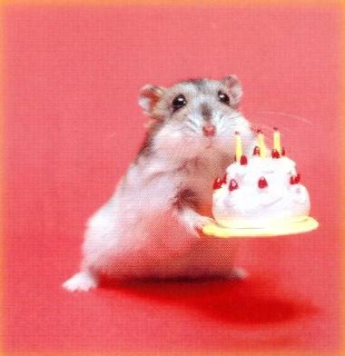 feliz-cumple.jpg