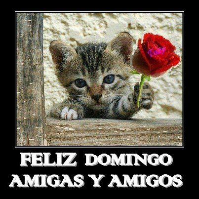 feliz-domingo.jpg