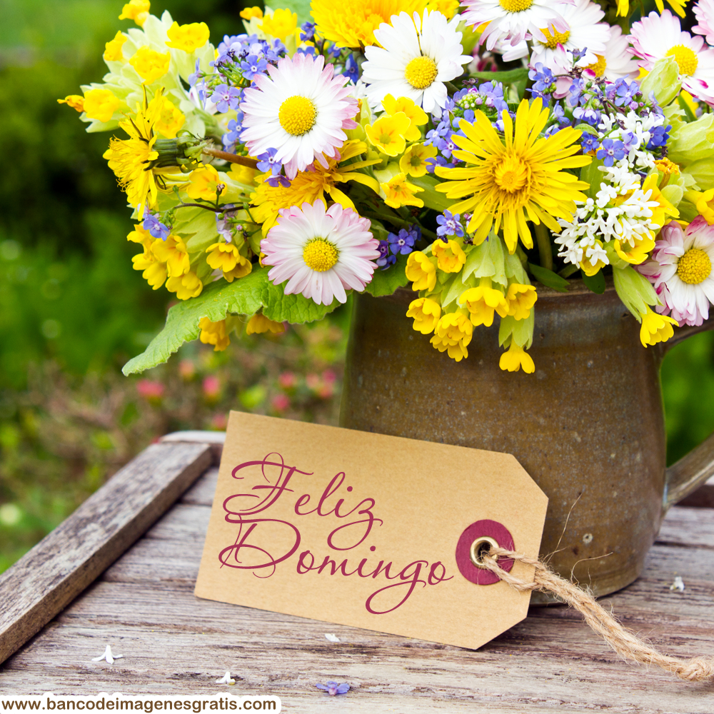 feliz-domingo-rosas-con-mensaje-positivo-para-compartir.png