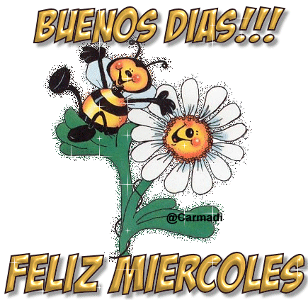 feliz-miercoles-337.gif