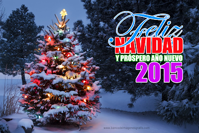 feliz-Navidad-y-Feliz-A%C3%B1o-Nuevo-2015-Invierno.png