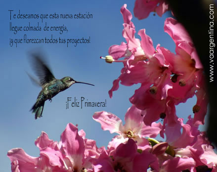 feliz-primavera.jpg