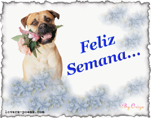 feliz-semana-1.gif