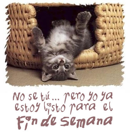 feliz_fin_semana_062.jpg
