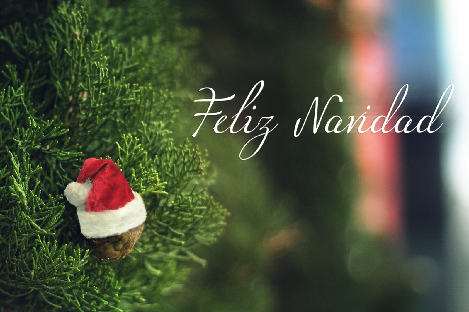 Feliz_Navidad_%288300903157%29.jpg
