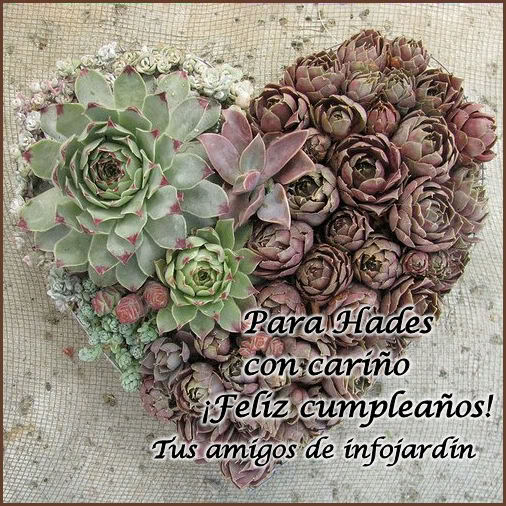 felizcumpleahadess.jpg