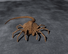FeminineFaroffIndianpalmsquirrel-max-1mb.gif